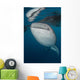 Large Whale Shark Coming Vertical Wall Decal