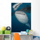 Large Whale Shark Coming Vertical Wall Decal