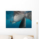 Pair Whale Sharks Coming Horizontal Wall Decal