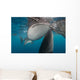 Pair Whale Sharks Coming Horizontal Wall Decal
