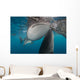 Pair Whale Sharks Coming Horizontal Wall Decal