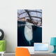 Whale Shark Sucking Fishing near Surface Wall Decal