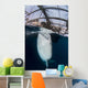 Whale Shark Sucking Fishing near Surface Wall Decal