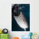 Whale Shark Sucking Fishing Vertical Wall Decal