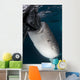 Whale Shark Sucking Fishing Vertical Wall Decal