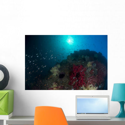 School Anthias Fish Swimming Light Wall Decal shown on a wall