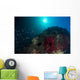 School Anthias Fish Swimming Light Wall Decal
