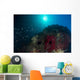 School Anthias Fish Swimming Light Wall Decal