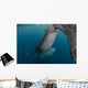 Pair Whale Sharks Sucking Wall Decal