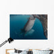 Pair Whale Sharks Sucking Wall Decal