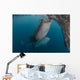 Pair Whale Sharks Sucking Wall Decal