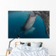 Pair Whale Sharks Sucking Wall Decal