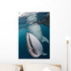 Pair Whale Sharks Cenderawasih Wall Decal
