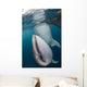 Pair Whale Sharks Cenderawasih Wall Decal