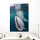 Pair Whale Sharks Cenderawasih Wall Decal