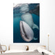 Pair Whale Sharks Cenderawasih Wall Decal