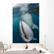 Pair Whale Sharks Cenderawasih Wall Decal
