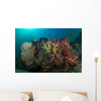 Colorful Reef with Gorgonian Wall Decal shown on a wall
