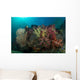 Colorful Reef with Gorgonian Wall Decal