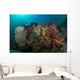 Colorful Reef with Gorgonian Wall Decal