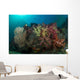 Colorful Reef with Gorgonian Wall Decal