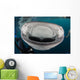 Whale Shark Swimming towards Wall Decal