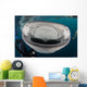Whale Shark Swimming towards Wall Decal