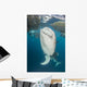 Pair Whale Sharks Coming Wall Decal