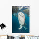 Pair Whale Sharks Coming Wall Decal