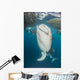 Pair Whale Sharks Coming Wall Decal