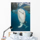 Pair Whale Sharks Coming Wall Decal
