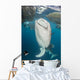 Pair Whale Sharks Coming Wall Decal