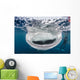 Whale Shark with Mouth Wall Decal