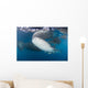Large Whale Shark Left Side Wall Decal