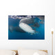 Large Whale Shark Left Side Wall Decal