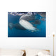 Large Whale Shark Left Side Wall Decal