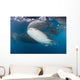 Large Whale Shark Left Side Wall Decal