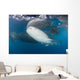 Large Whale Shark Left Side Wall Decal