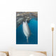 Whale Shark Sucking Fishing Wall Decal