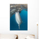 Whale Shark Sucking Fishing Wall Decal