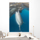 Whale Shark Sucking Fishing Wall Decal