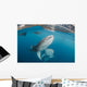 Pair Whale Sharks Swimming Horizontal Wall Decal