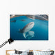 Pair Whale Sharks Swimming Horizontal Wall Decal