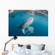 Pair Whale Sharks Swimming Horizontal Wall Decal