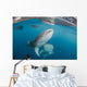 Pair Whale Sharks Swimming Horizontal Wall Decal