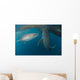 Pair Whale Sharks Swimming Wall Decal