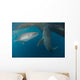 Pair Whale Sharks Swimming Wall Decal
