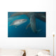 Pair Whale Sharks Swimming Wall Decal