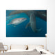 Pair Whale Sharks Swimming Wall Decal
