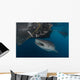 Whale Shark Sucking Fishing Horizontal Wall Decal